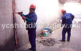 山東防水公司 專業(yè)防水補漏服務，守護建筑安全