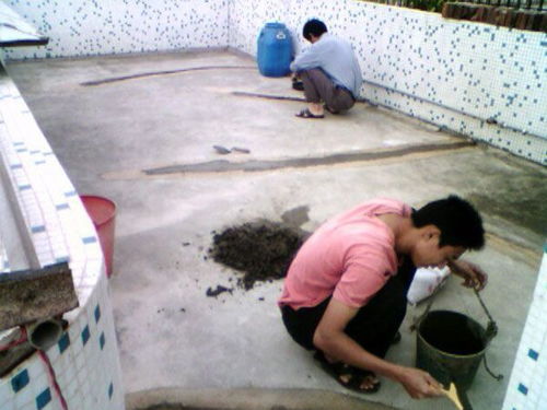 東莞專業(yè)防水補(bǔ)漏服務(wù) 解決廠房、辦公室漏水與隔熱層損壞問題