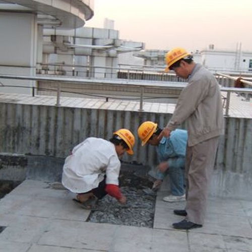 高明樓面補(bǔ)漏維修與水電維修 打造安全舒適的家居環(huán)境